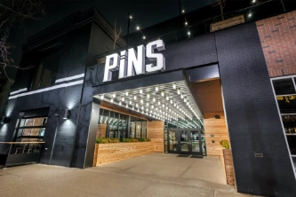 Pins Mechanical